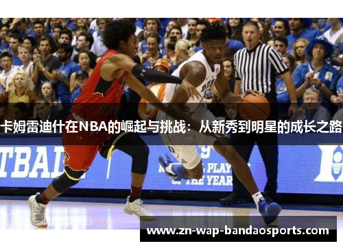 卡姆雷迪什在NBA的崛起与挑战：从新秀到明星的成长之路