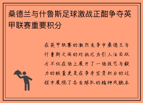 桑德兰与什鲁斯足球激战正酣争夺英甲联赛重要积分